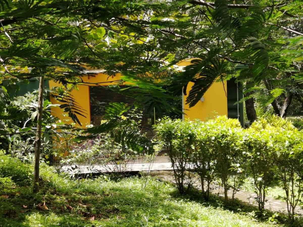 Casa Rural Aroma de Campo Curubande Eksteriør billede